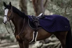 Couvre reins hiver - Kentucky