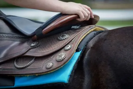 Couvre siège Selle Western Thinline