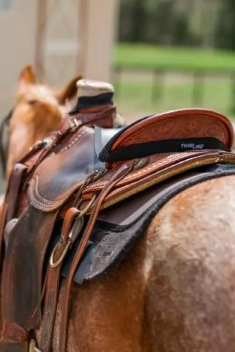 Couvre siège Selle Western Thinline