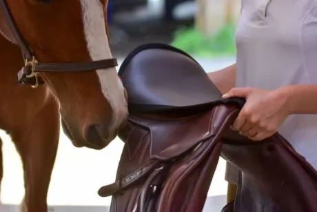 Couvre siège Selle Western Thinline