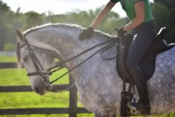 Couvre siège Selle Western Thinline