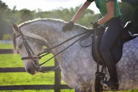 Couvre siège Selle Western Thinline