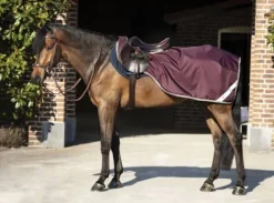 Couvre-reins Amigo Ripstop compétition - Horseware - imperméable 600d