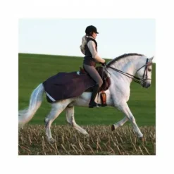 Couvre-reins compétition Sheet Amigo Horseware