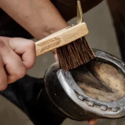 Cure pied - Kentucky