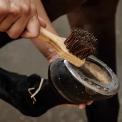 Cure pied - Kentucky