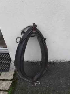 Diverses Calèches et Harnais