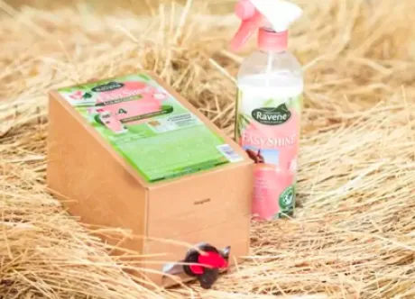 Démêlant Easy Shine - Ravene