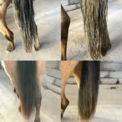 Démêlant Easy Shine - Ravene