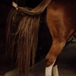 Démêlant naturel crins - Nellumbo