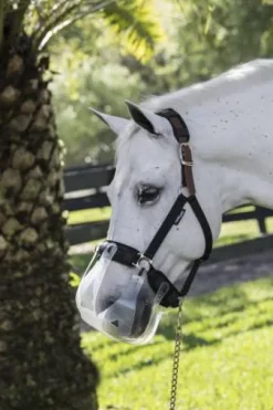 Doublures rembourrées pour licol - Thinline