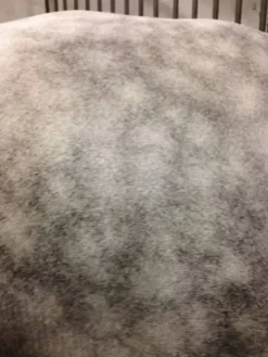 Easy Shine Mouss - Laboratoire Ravene