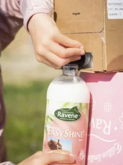 Easy shine recharge 3L - Ravene