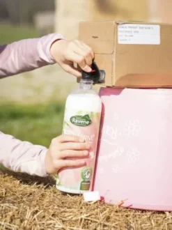 Easy shine recharge 3L - Ravene