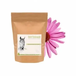Echinacée Cheval - Accompagne les défenses immunitaires
