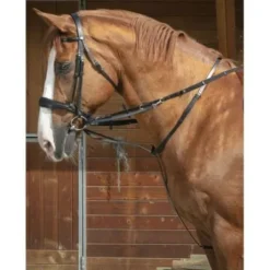 Enrenement Thiedman / Howlett