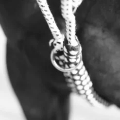 Enrênement corde Canter - Corde en coton tressé