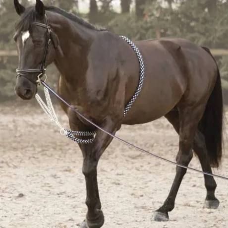 Enrênement corde Canter - Corde en coton tressé