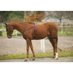 Enrênement de longe Pessoa Norton