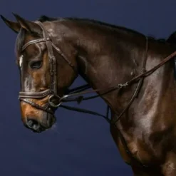 Enrênement Howlett Working Collection - Dy'on