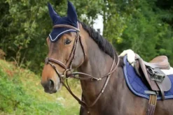 Enrênement Thiedeman training aid HFI