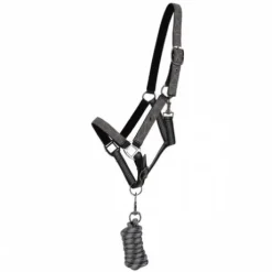 Ensemble licol et longe AW25 - QHP - Rembourré