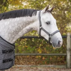 Ensemble licol et longe AW25 - QHP - Rembourré