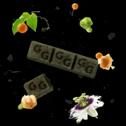 Equibar Adaptative 2kg - Guidolin