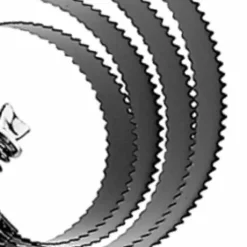 Etrille americaine - Sprenger