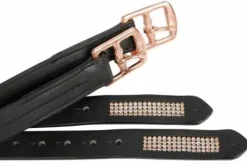 Etrivières Crystal - Harry's Horse