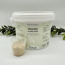 Fenugrec - Nutragile