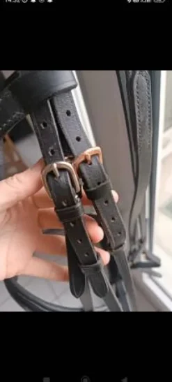 Filet anatomique + rênes