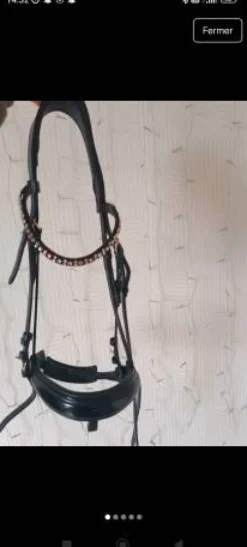 Filet anatomique + rênes