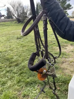 Filet Bel Ami, de Alain Ventre