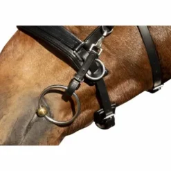 Filet caveçon cuir Comfort - HKM