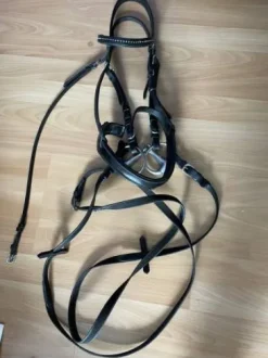 Filet Eric Thomas cuir taille COB