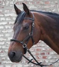 Filet sans mors Linda Tellington Jones