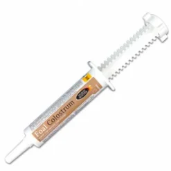 Foal Colostrum - Défense immunitaire et flore digestive du poulain