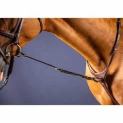 Fourchette de martingale fixe - Dy'on