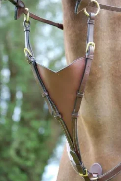 Fourchette de martingale pleine Dy'on collection