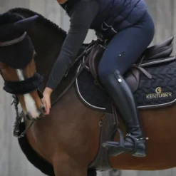 Fourreau de muserolle - Kentucky