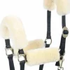 Fourreau mérinos pour licol - Harry's horse - ensemble de 4