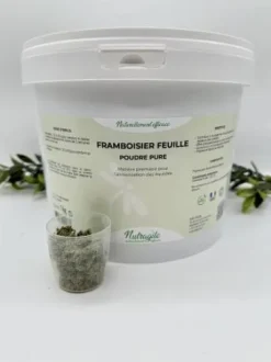 Framboisier Feuille - Poudre Pure Nutragile