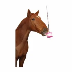 Friandise Likit - 650gr