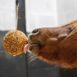 Friandise Likit Stall Ball