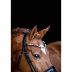 Frontal BE TEMPTED Cherry Milkshake Black - SD Design