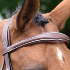 Frontal Bruxelles - Collection One Jump in