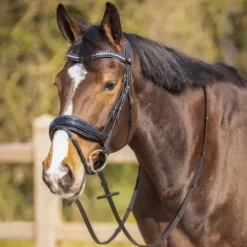 Frontal en cuir Skye - QHP - Bouton pression