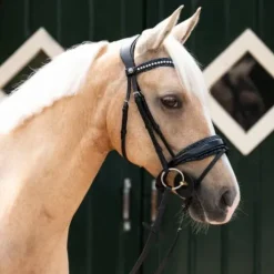 Frontal en cuir Skye - QHP - Bouton pression