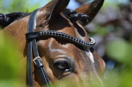 Frontal en strass noir
